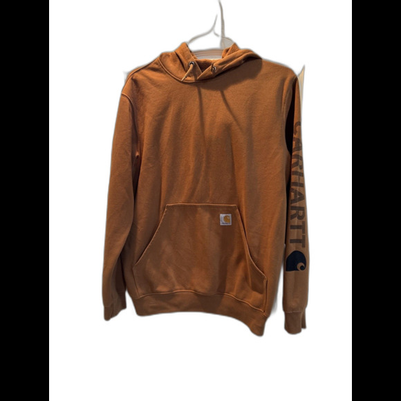 Carhartt Other - Carhartt Hoodie Mens Small Brown Loose Fit Heavy Weight TS0288M Work Wear